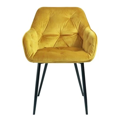 Velvet Fabric söögitool tugitool elutuba