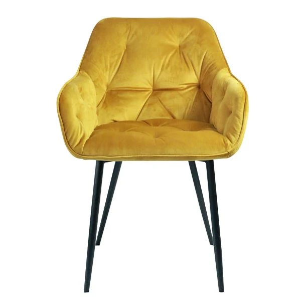 Velvet Fabric söögitool tugitool elutuba